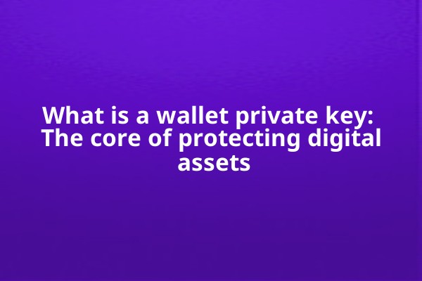 What is a wallet private key: The core of protecting digital assets