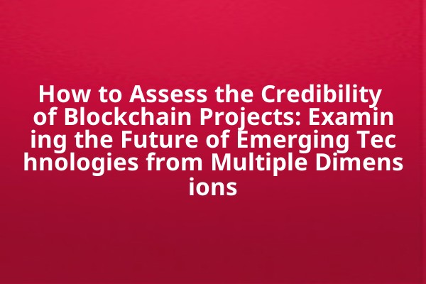How to Assess the Credibility of Blockchain Projects: Examining the Future of Emerging Technologies from Multiple Dimensions