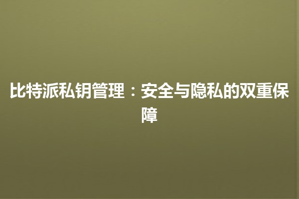 比特派私钥管理：安全与隐私的双重保障