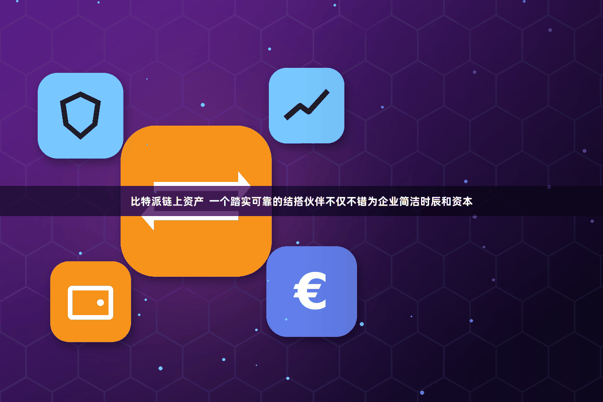比特派链上资产 一个踏实可靠的结搭伙伴不仅不错为企业简洁时辰和资本